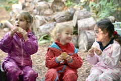 Forest-School-web-gallery-6